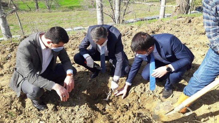 Pütürge kırmızısı çeşidinin geliştirilmesi projesi G2