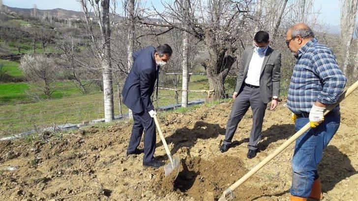 Pütürge kırmızısı çeşidinin geliştirilmesi projesi G3