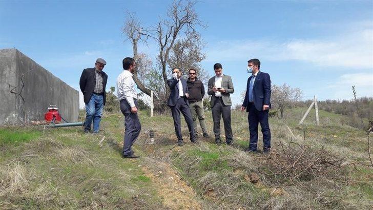 Pütürge kırmızısı çeşidinin geliştirilmesi projesi G4