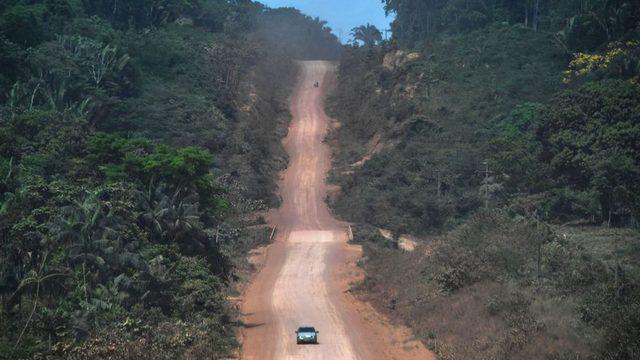 Road built through the rainforest