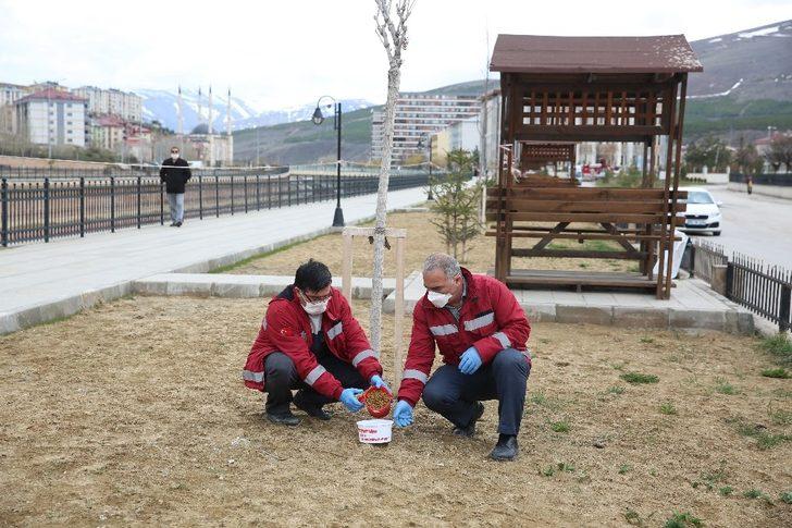 Bayburt’ta sokak hayvanları için mama, yiyecek ve su bırakıldı G2