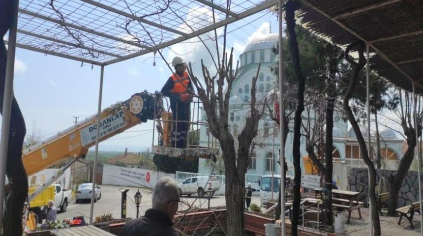 Ağa&ccedil;ların budama &ccedil;alışması s&uuml;r&uuml;yor