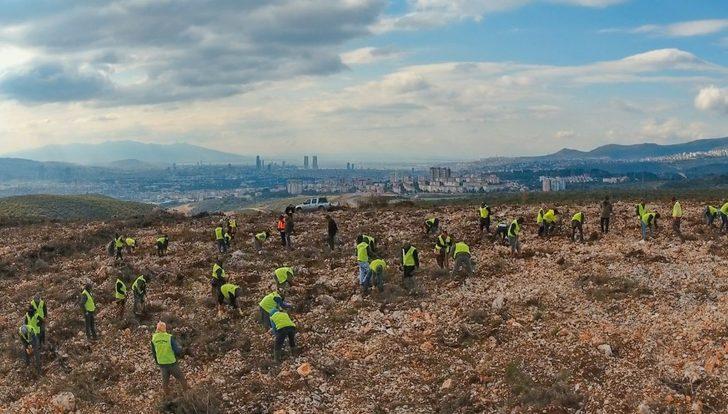 İzmir’e 10 yılda 28 milyon adet fidan G1