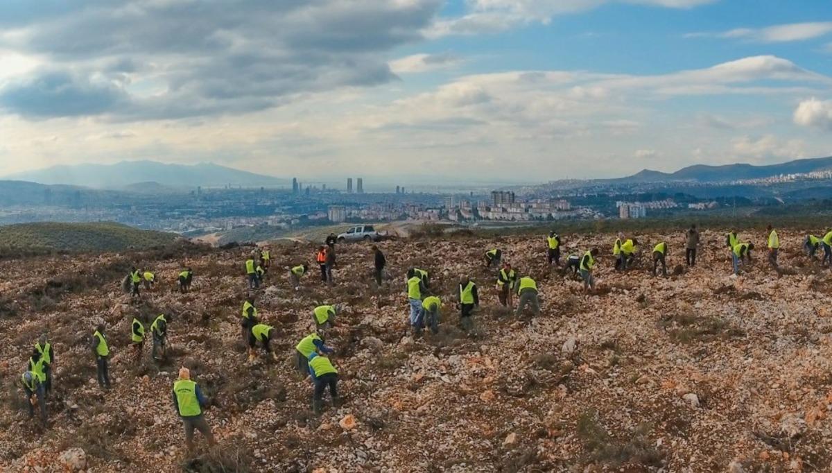 İzmir&rsquo;e 10 yılda 28 milyon adet fidan