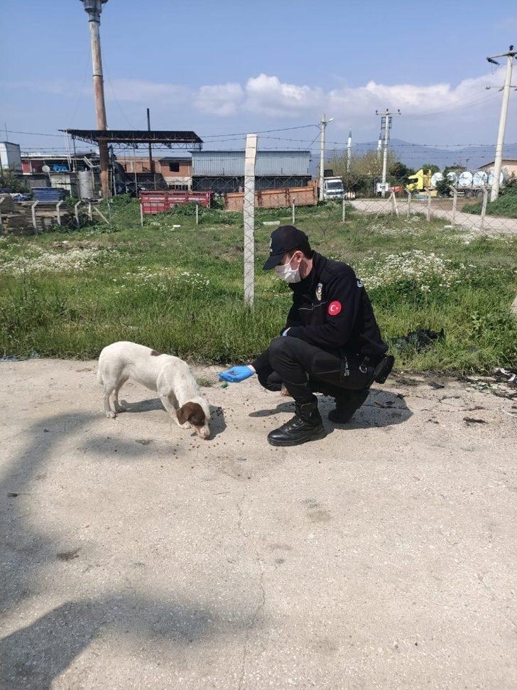 Ödemiş polisi can dostları sahipsiz bırakmadı G2