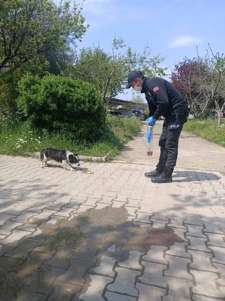 Ödemiş polisi can dostları sahipsiz bırakmadı G3