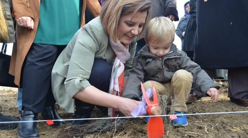 İzmit Belediyesi kendi tarım arazilerinde ekime başlayacak