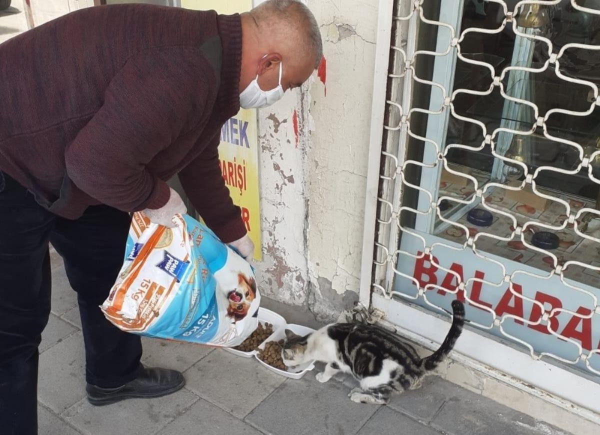 Ak&ccedil;adağ&rsquo;da sokak hayvanları unutulmadı