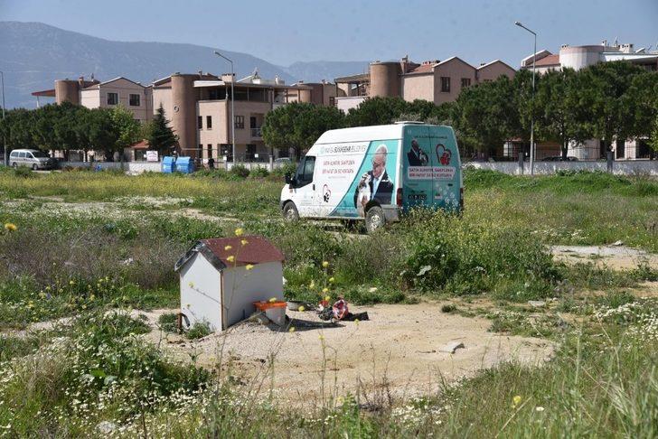 Sokak hayvanları unutulmadı G2