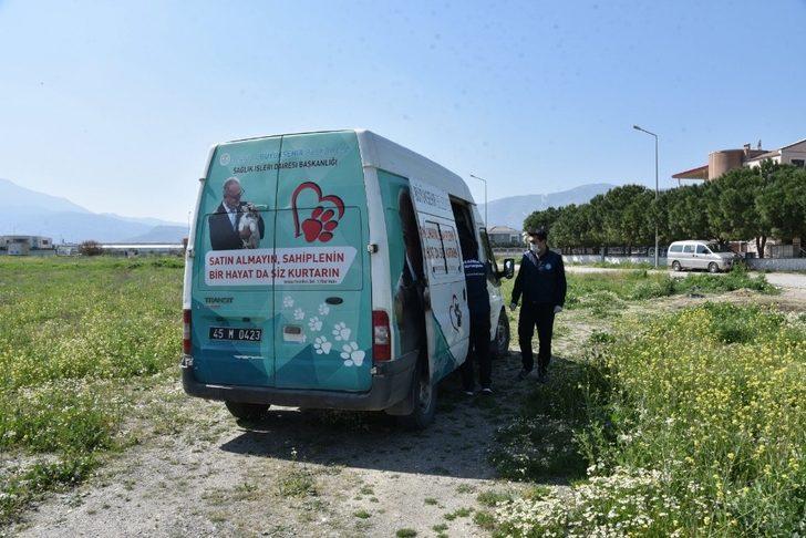 Sokak hayvanları unutulmadı G5