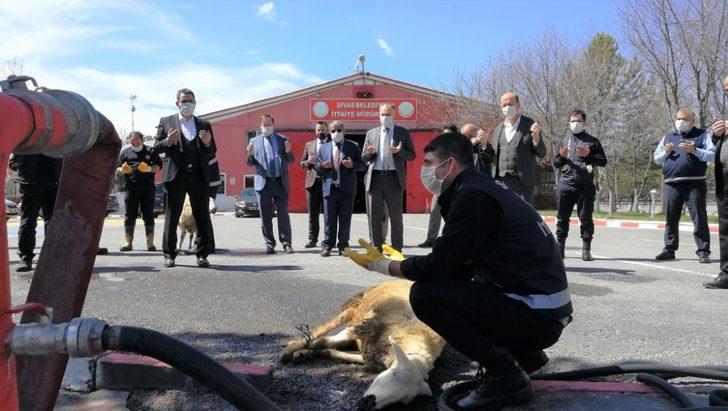İtfaiye erleri korona virüse karşı kurban kesip dua etti G1