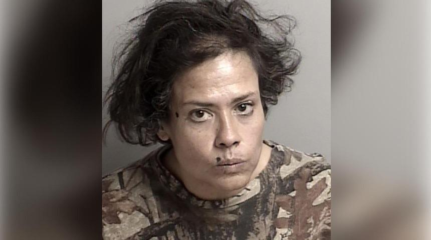 1800 dolarlık gıdayı yalayan kadın yakalandı