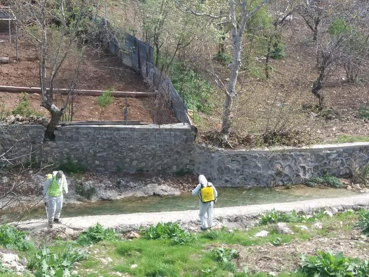 Besni’de haşereyle mücadele sürüyor G2