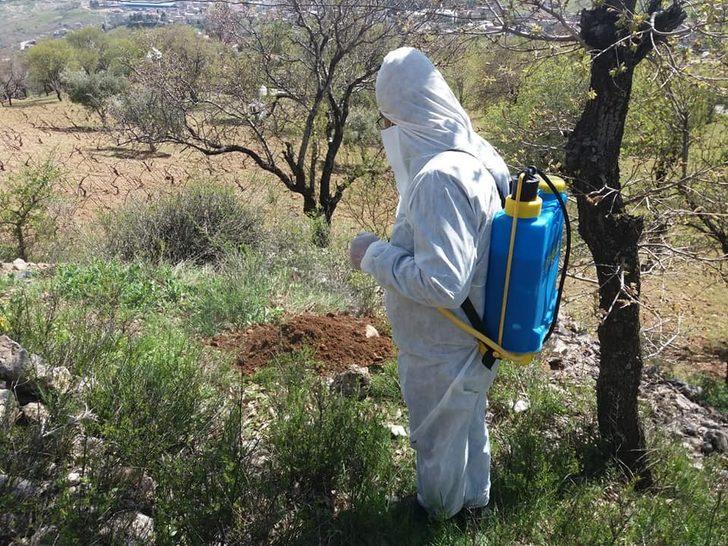 Besni’de haşereyle mücadele sürüyor G4