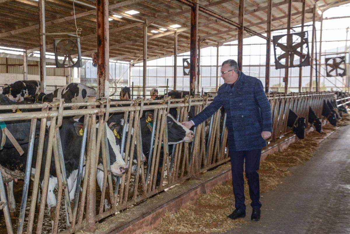 Başkan &Ouml;zkan&rsquo;dan &uuml;reticilere destek ziyareti