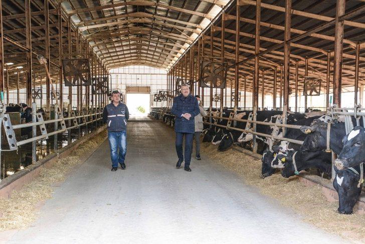 Başkan Özkan’dan üreticilere destek ziyareti G5