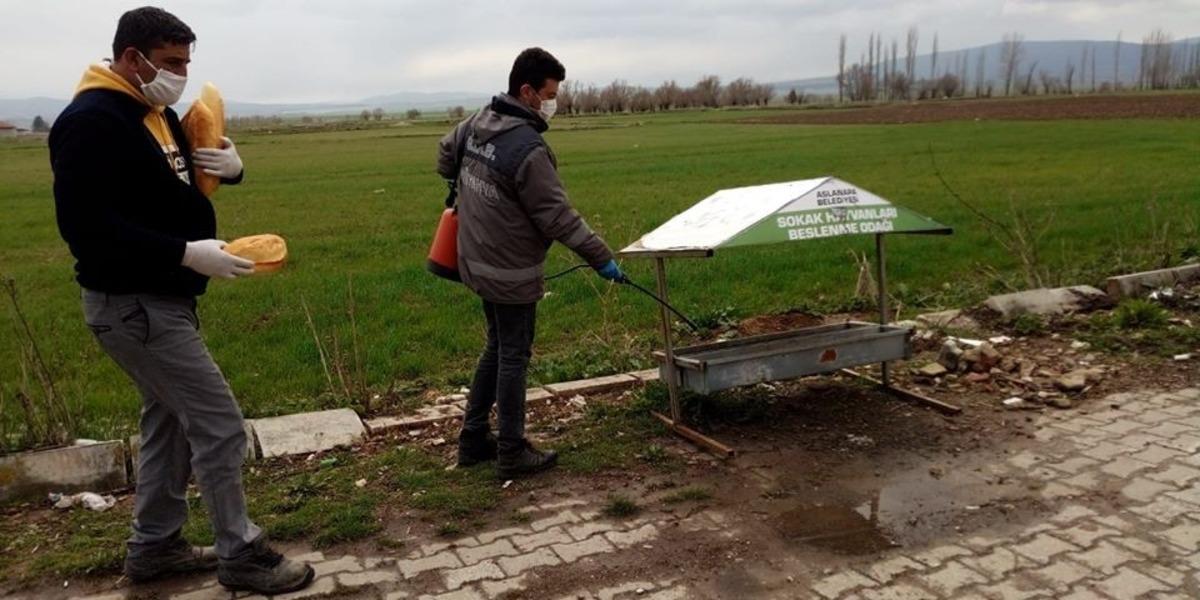 &Ouml;nce dezenfekte ettiler sonra yiyecek bıraktılar