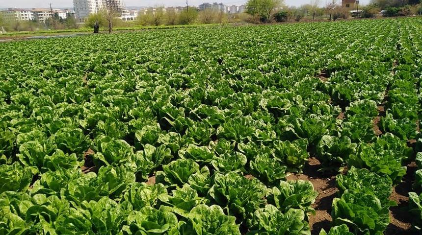 &Ccedil;KS belgeli Kilisli &ccedil;ift&ccedil;iler arazilerine gidebilecek