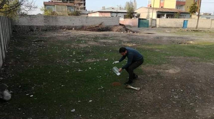Iğdır’da sokak hayvanları için yem ve su  bırakıldı