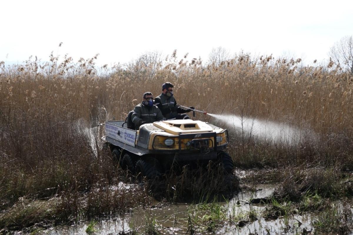 B&uuml;y&uuml;kşehir salgının yanı sıra vekt&ouml;rle de m&uuml;cadele ediyor