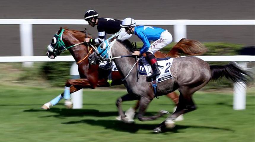 At yarışları için karar mayıs ayının ilk haftası verilecek