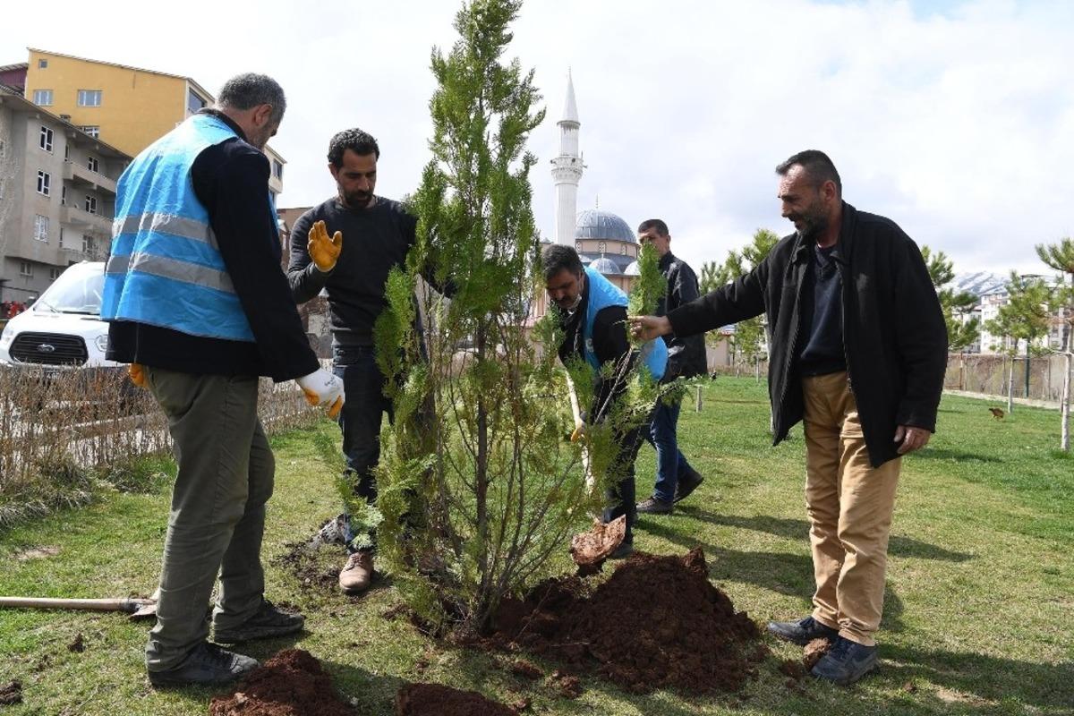 Muş Belediyesinden fidan dikim &ccedil;alışması