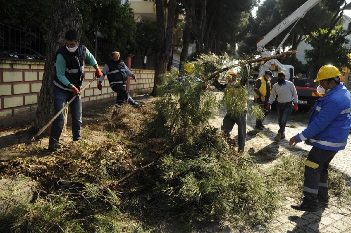 Aydın B&uuml;y&uuml;kşehir ve Nazilli Belediyesi&rsquo;nden ortak &ccedil;alışma