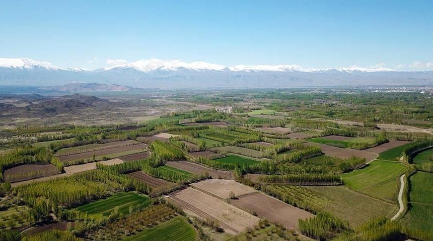 Hazineye ait atıl tarım arazileri üretime açılıyor