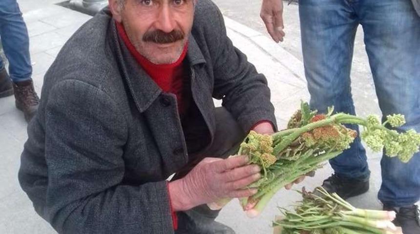 Hakkari&rsquo;de &lsquo;yayla muzu&rsquo; u&ccedil;kuna yoğun ilgi