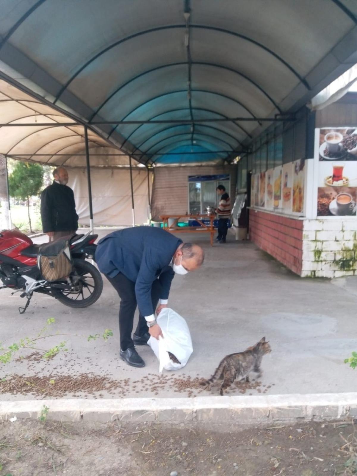 Ortaca&rsquo;da sokak hayvanları a&ccedil; ve susuz kalmıyor