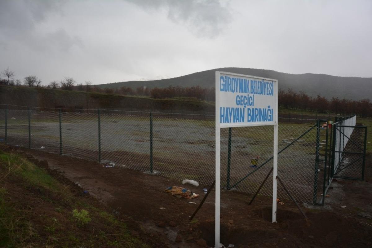 Kaymakam Sancaktutar, ge&ccedil;ici hayvan barınağında incelemelerde bulundu