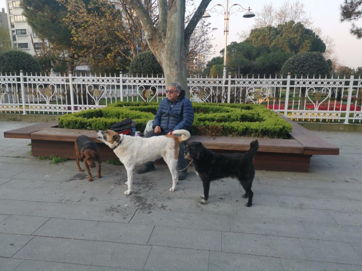 Yasağa rağmen sokağa &ccedil;ıktı: K&ouml;peklerimi beslemek i&ccedil;in &ccedil;ıktım