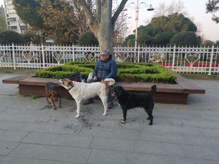 Yasağa rağmen sokağa çıktı: Köpeklerimi beslemek için çıktım G2