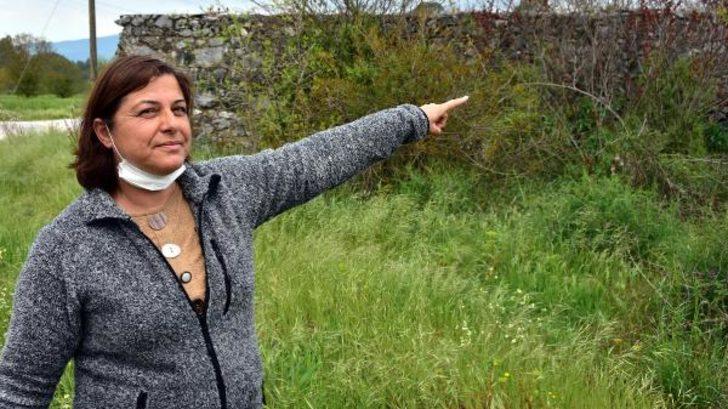 2'nci Dünya Savaşı döneminin 'İncirlik Üssü'ydü! Şimdi ineklerin otlağı oldu G1