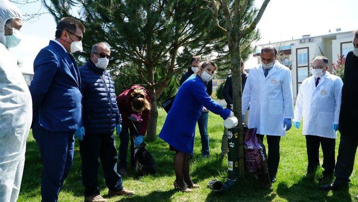 Mustafakemalpaşa’da sokak hayvanlarına tam destek G1