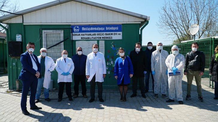 Mustafakemalpaşa’da sokak hayvanlarına tam destek G4