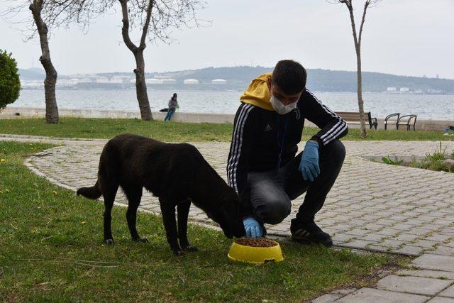 Aliağa Belediyesinden can dostlar için seferberlik