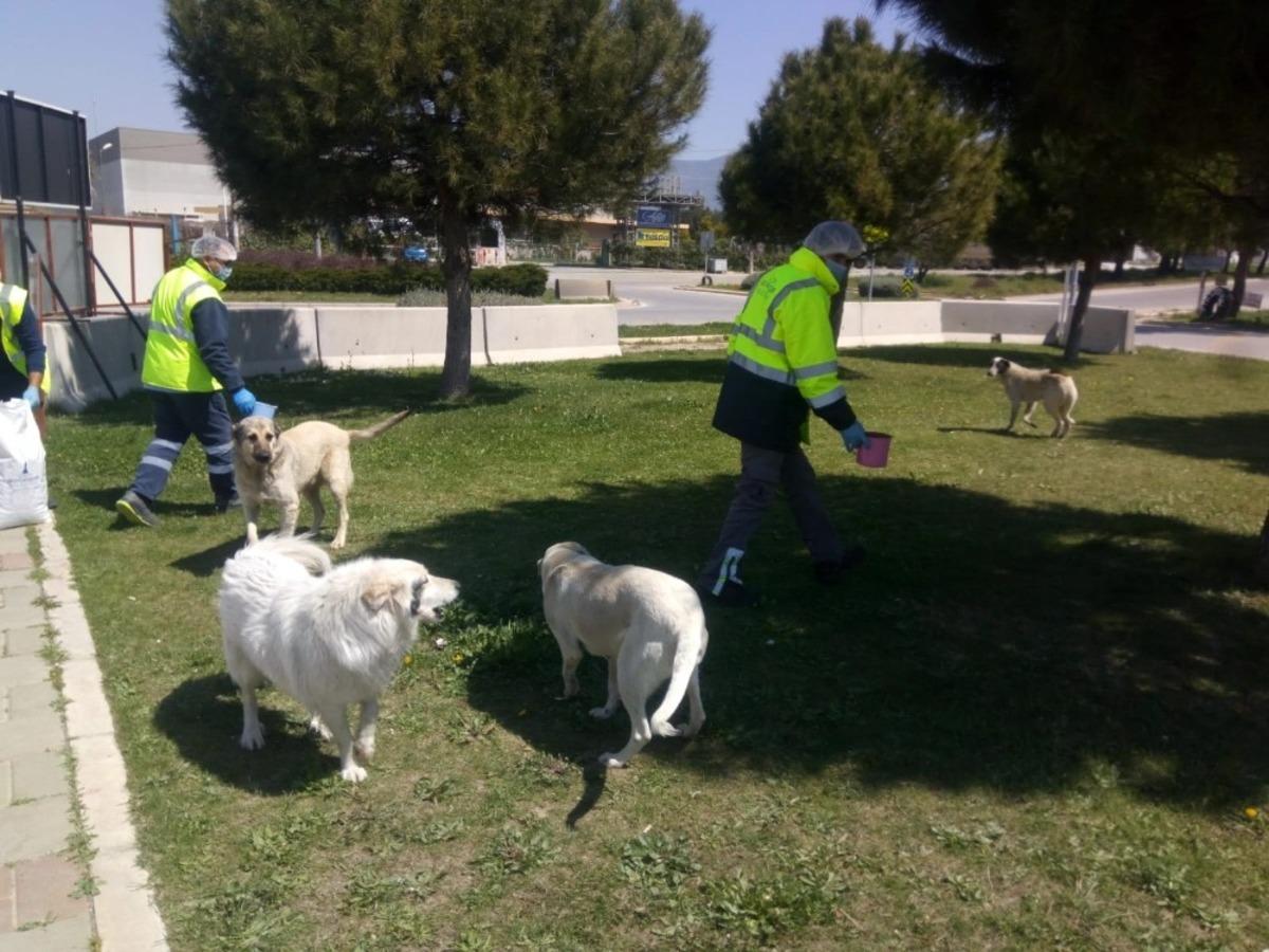 Sokağa &ccedil;ıkma yasağında can dostlar unutulmadı