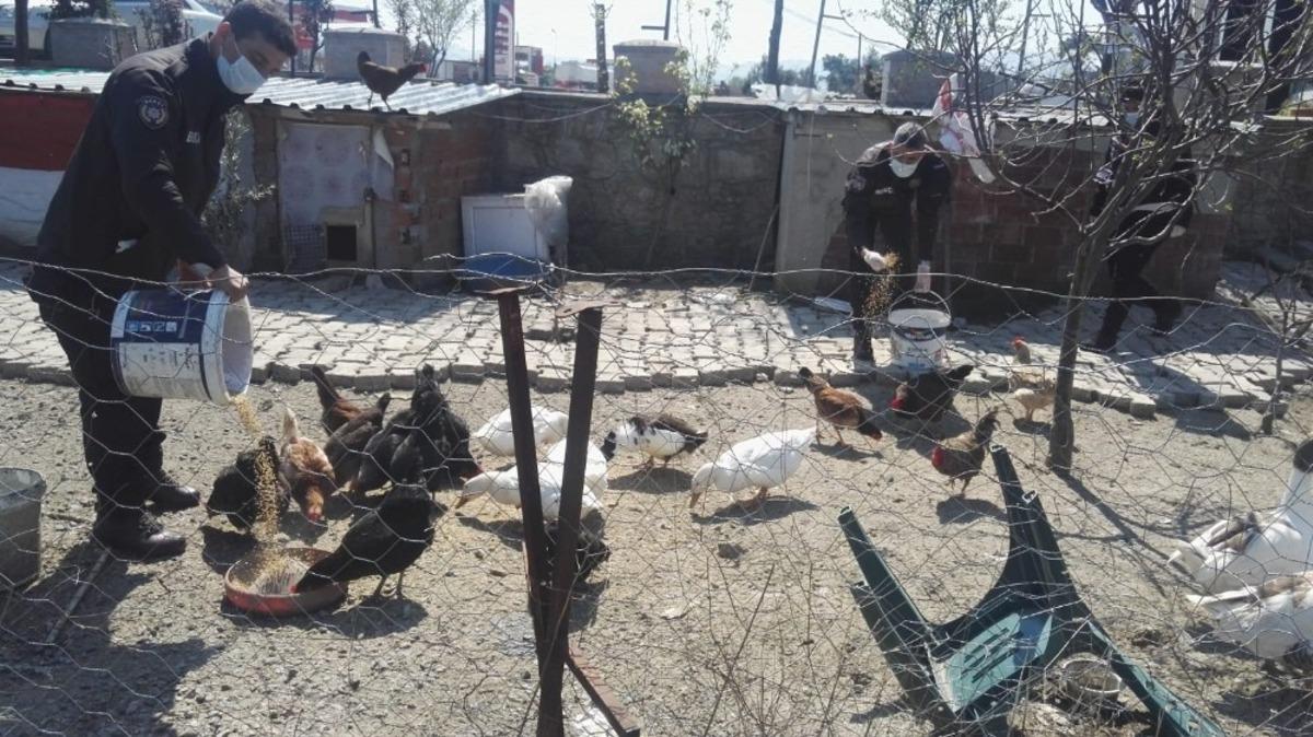 Tavukları i&ccedil;in 112&rsquo;den yem istedi