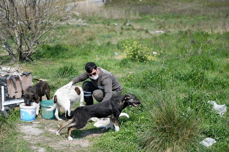 Esenyurt’ta kapalı kalması gerek börekçi zabıta ekiplerinin denetimine yakalandı G2
