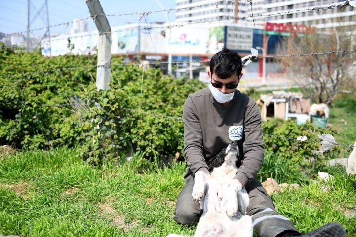 Esenyurt’ta kapalı kalması gerek börekçi zabıta ekiplerinin denetimine yakalandı G5