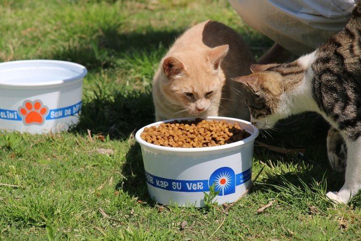 Büyükşehir ekipleri vatandaşlar için zaruri ihtiyaç nöbetinde G4