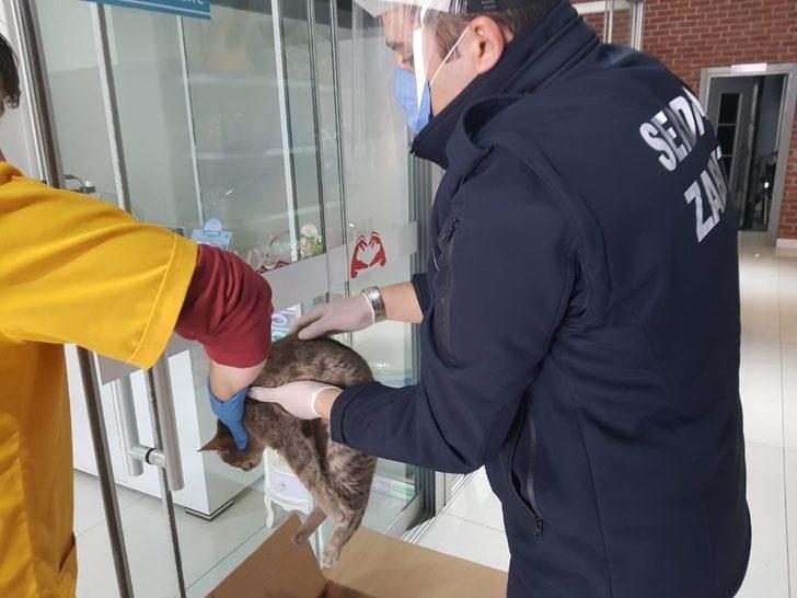 Yaralı kedinin imdadına Serdivan Belediyesi ekipleri yetişti G2
