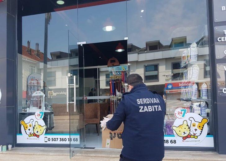 Yaralı kedinin imdadına Serdivan Belediyesi ekipleri yetişti G3