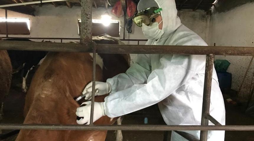 Kocaeli Tarım ve Orman İl Müdürlüğü, malzeme eksiği iddialarını yalanladı