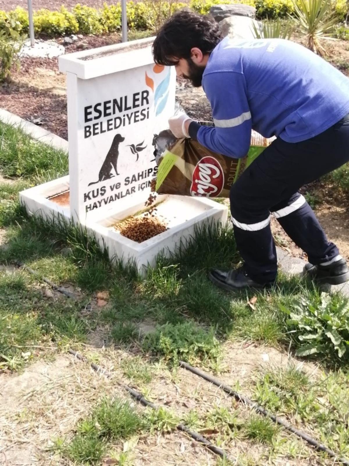 Esenler&rsquo;de sokak hayvanları unutulmadı