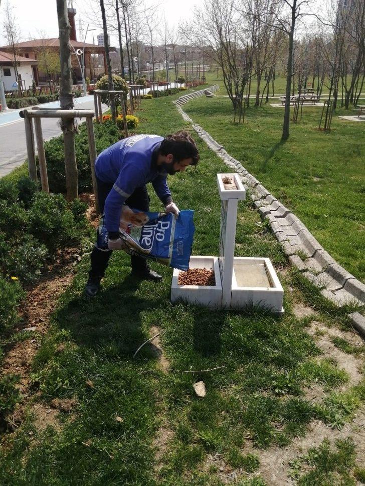 Esenler’de sokak hayvanları unutulmadı G2