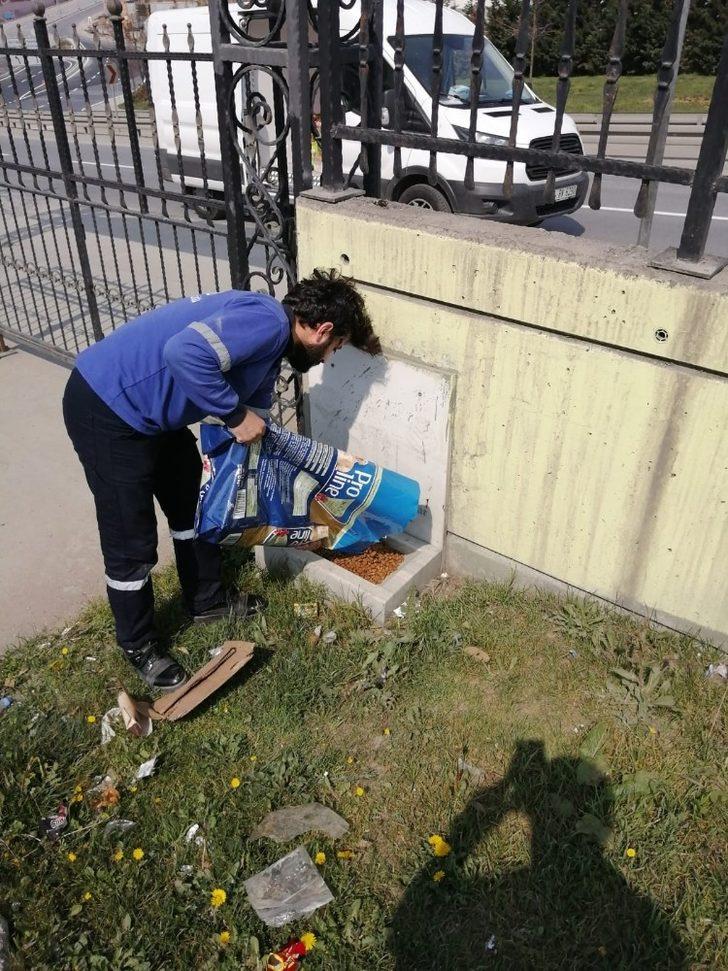 Esenler’de sokak hayvanları unutulmadı G4