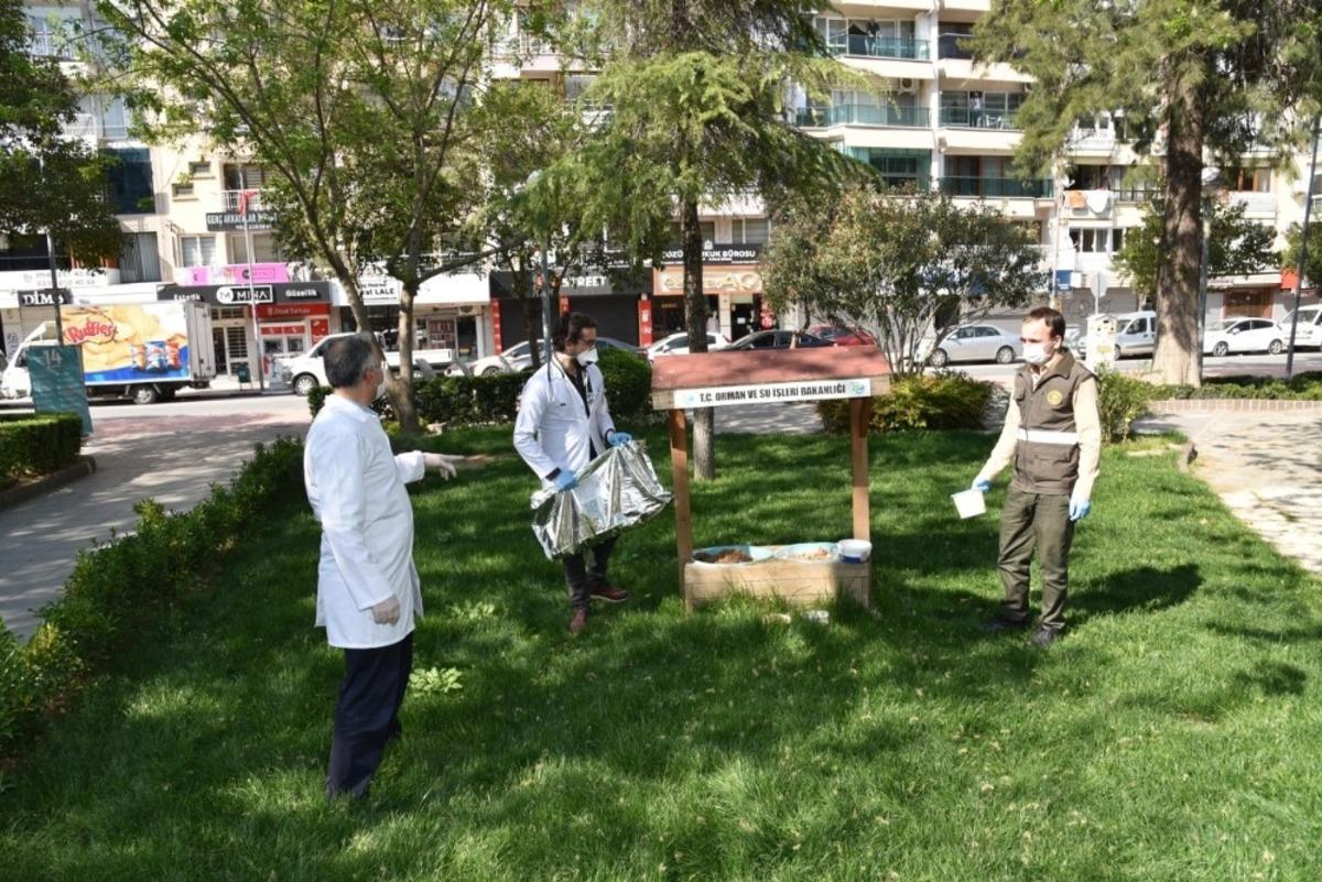 Manisa&rsquo;da sokak hayvanları unutulmadı
