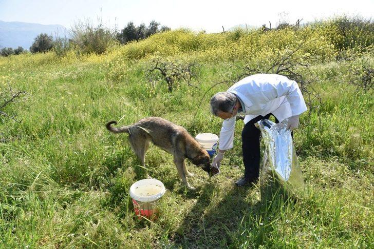 Manisa’da sokak hayvanları unutulmadı G3